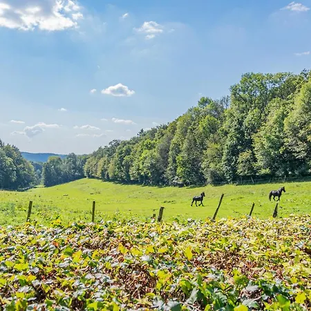 Hotell Les Rhodos Chevetogne