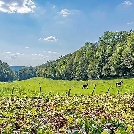 Les Rhodos Szálloda 3*
